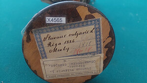 1886. g. mājas strazda izbāzeņa vēsturiskā etiķete. Foto: LU Muzeja krājums