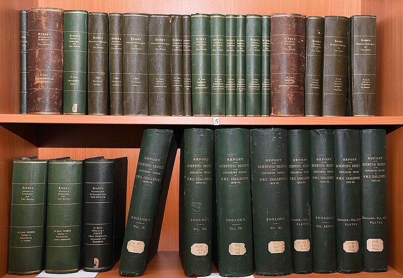 192 gadi zooloģijas izpētē