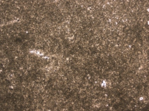 7. att. Rīgas Doma baznīcas S4 pilastra pamatnes un senās sienas dolomīta parauga (3DP) plānslīpējuma fotogrāfija (mikrogrāfija mikroskopā). Mērogs: fotogrāfijā redzamā garākā mala ir 5 mm. Foto V. Hodireva  