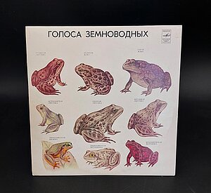 Skaņuplate “Abinieku balsis”. LU Muzeja krājums: ZOO2160/1-2