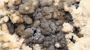 Travertīns ar onkolītiem un izteiktu melnu piesārņojumu poru iekšpusē (B). Paraugu no Brīvības pieminekļa restaurācijā aizvietotā bloka LUM nodevusi Inese Sidraba 2003.gadā. Fotografēts zem lupas. Foto: V. Hodireva 