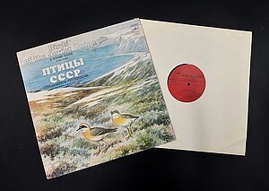 Skaņuplate “PSRS putni. Noteicējs pēc balsīm. Gārgales. Bridējputni. LU Muzeja krājums: ZOO2159/1-2