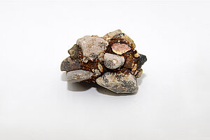 Medņu grants karjerā, Laidzu karjerā vai Brežģa kalna karjerā ievākts konglomerāta paraugs. Foto: LU Muzeja krājums, Sarmīte Livdāne