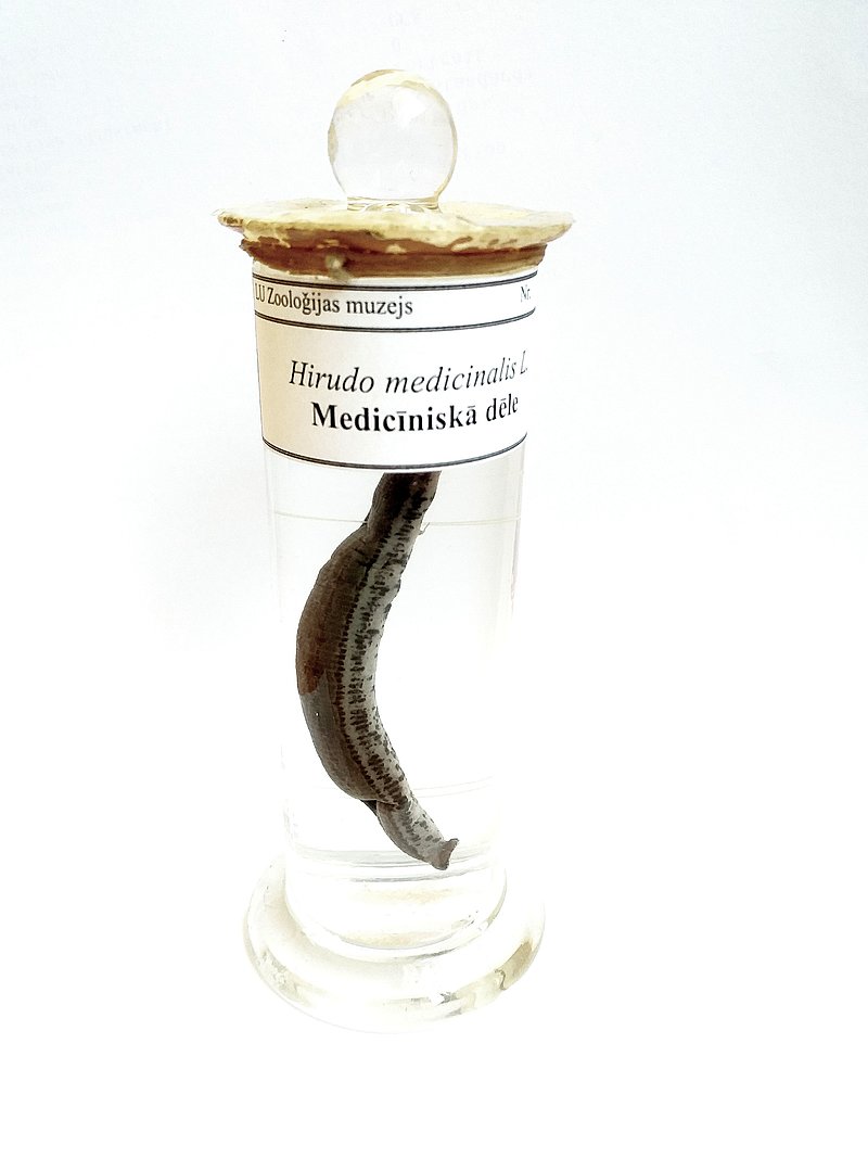 LU SIMTGADES ATKLĀJUMS. Medicīnisko dēļu paraugi 