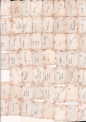 55 ZBPI darbinieku portreti, kas izmantoti kolāžā. Fotogrāfijas no otras puses. Redzamas līmējuma pēdas. Uz fotogrāfijām rakstīti uzvārdi, dažreiz arī vārdi, iesaukas. Rakstījis Viktors Grāvītis, kurš kā skolnieks bija institūtu apmeklējis jau 1939. g., bet 1946. g. sāka tur strādāt.