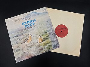 Skaņuplate “PSRS putni. Noteicējs pēc balsīm. Bridējputni(Puskuitalas, pūslīši, šņibīši)”. LU Muzeja krājums: ZOO2157/1-2