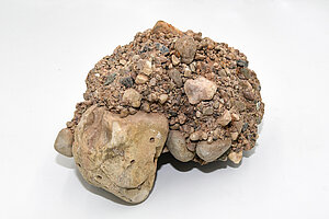 Ogres jeb Mazajos Kangaros pie Ikšķiles, Dubkalnu karjerā ievākts konglomerāta paraugs. Foto: LU Muzeja krājums, Sarmīte Livdāne