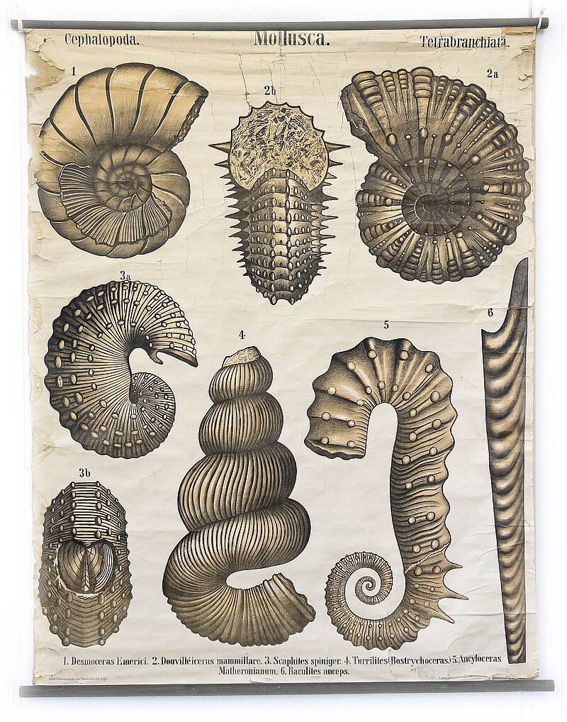 MĒNEŠA PRIEKŠMETS. Karla Alfrēda fon Citela paleontoloģijas plakāti