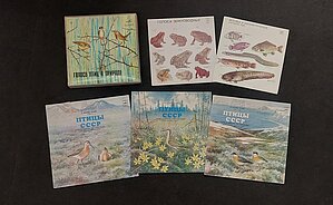 Dzīvnieku balsis skaņuplatēs. LU Muzeja krājums