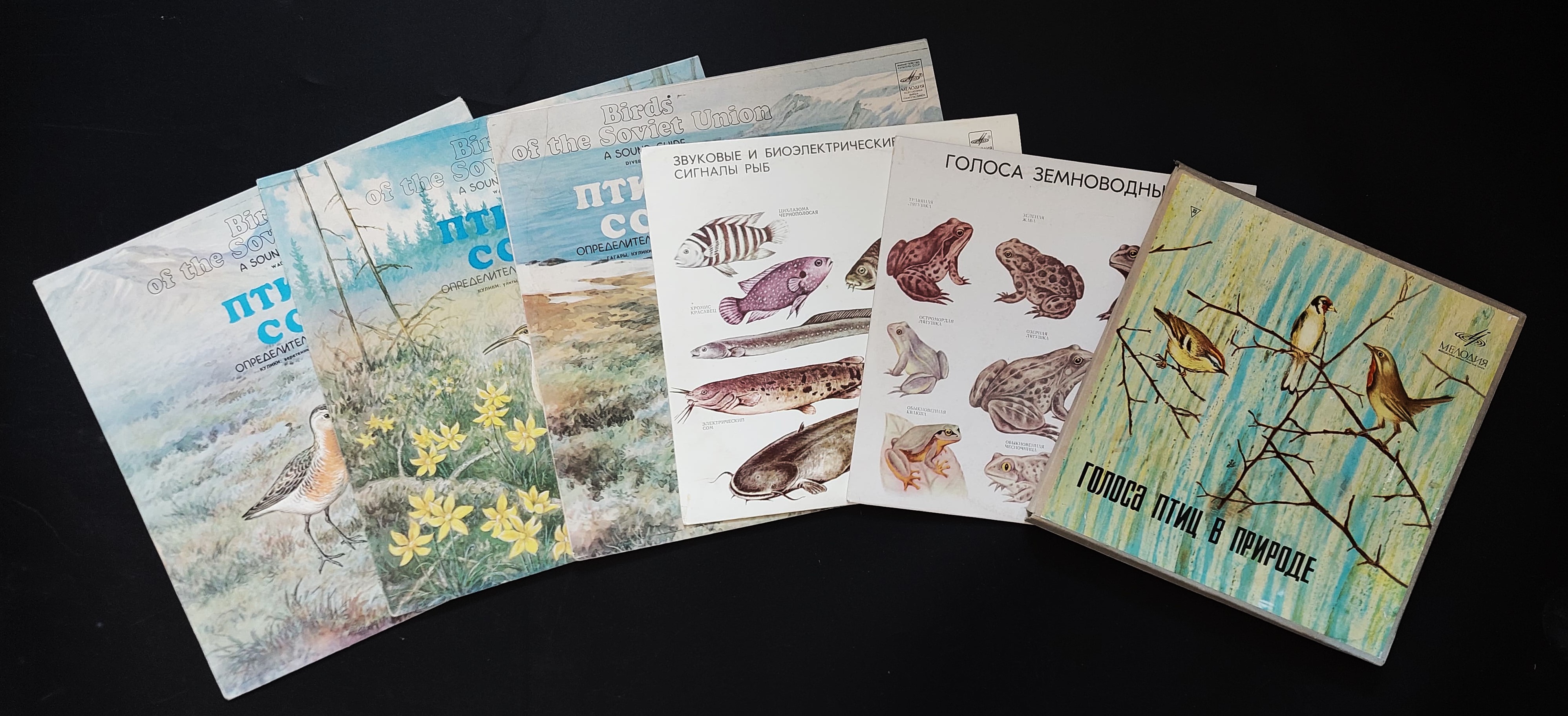 Dzīvnieku balsis skaņuplatēs. LU Muzeja krājums