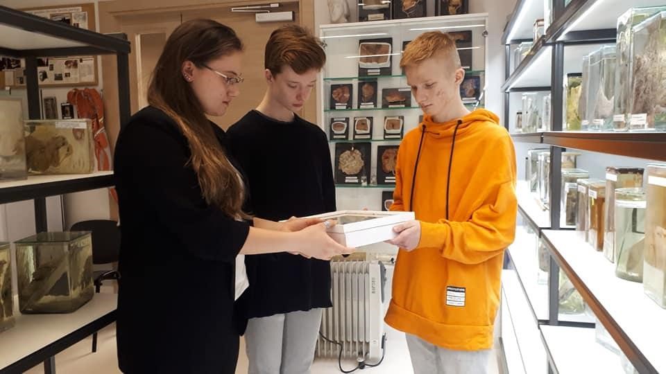  Cilvēka patoloģiju kolekcijā