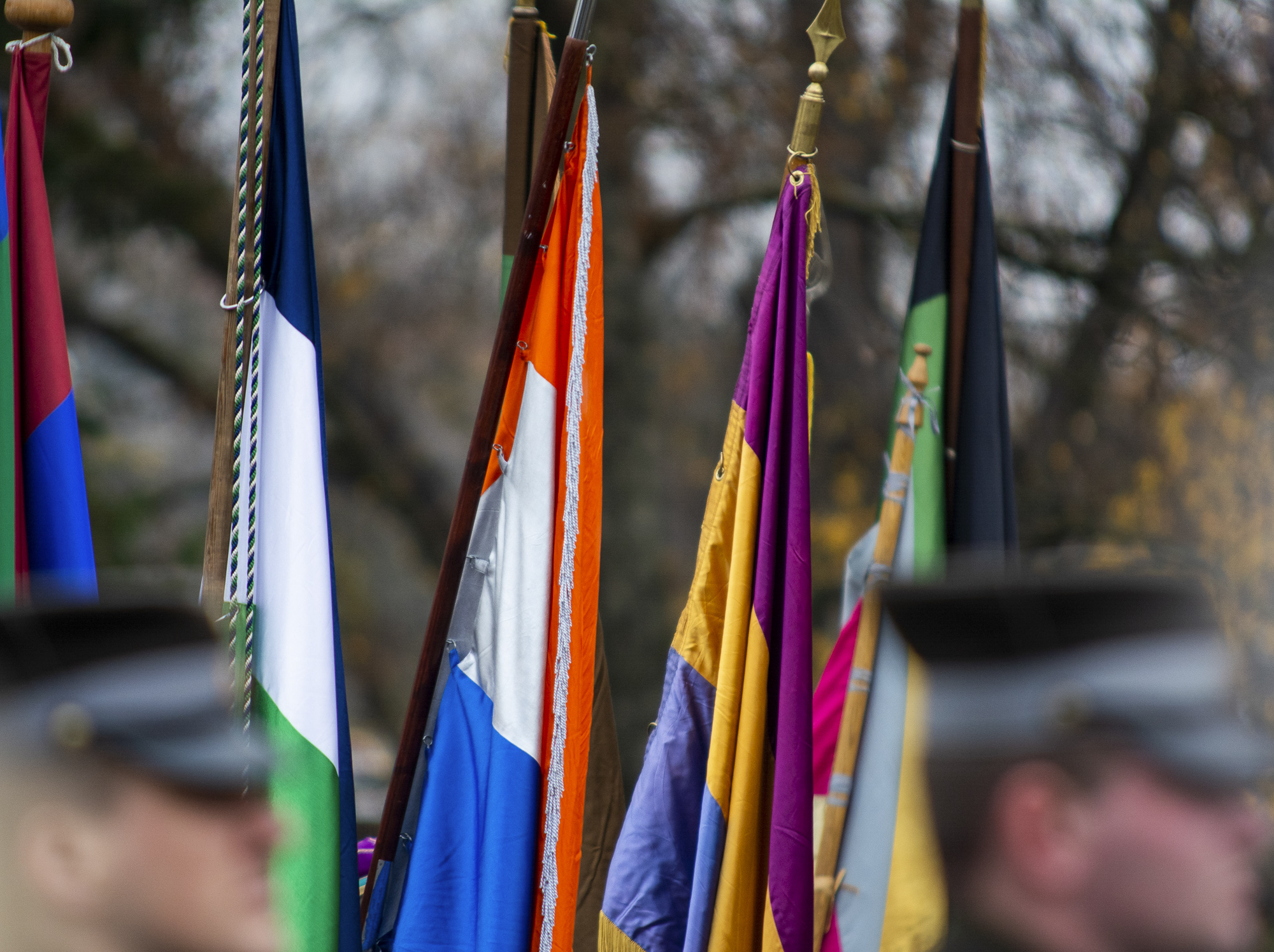 Foto:  https://www.tervetia.lv/lv/albums/albums.htm?alb=133