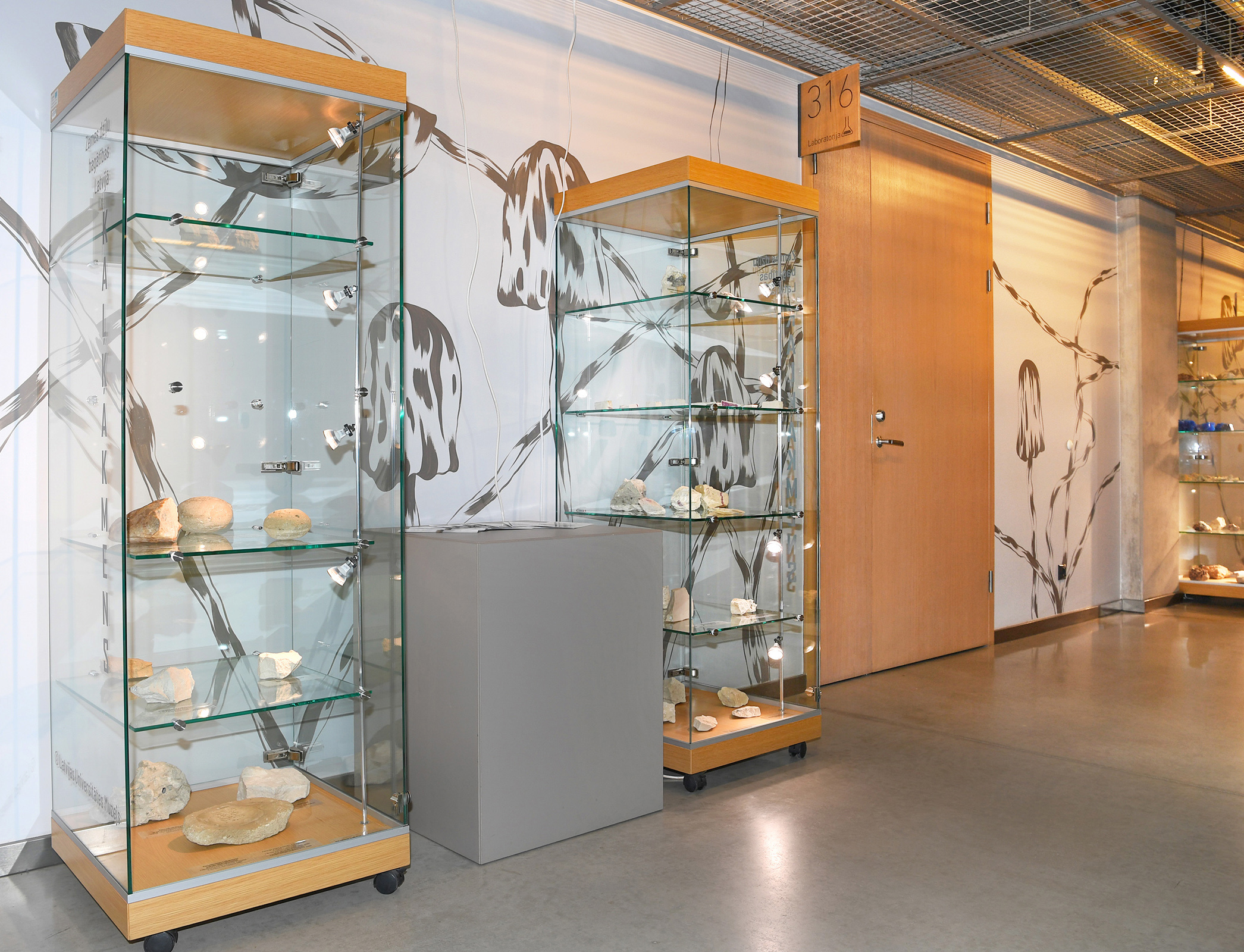 Ekspozīcija "Zemes dzīļu bagātības Latvijā: kaļķakmens" LU Akadēmiskajā centrā. Foto: S. Livdāne