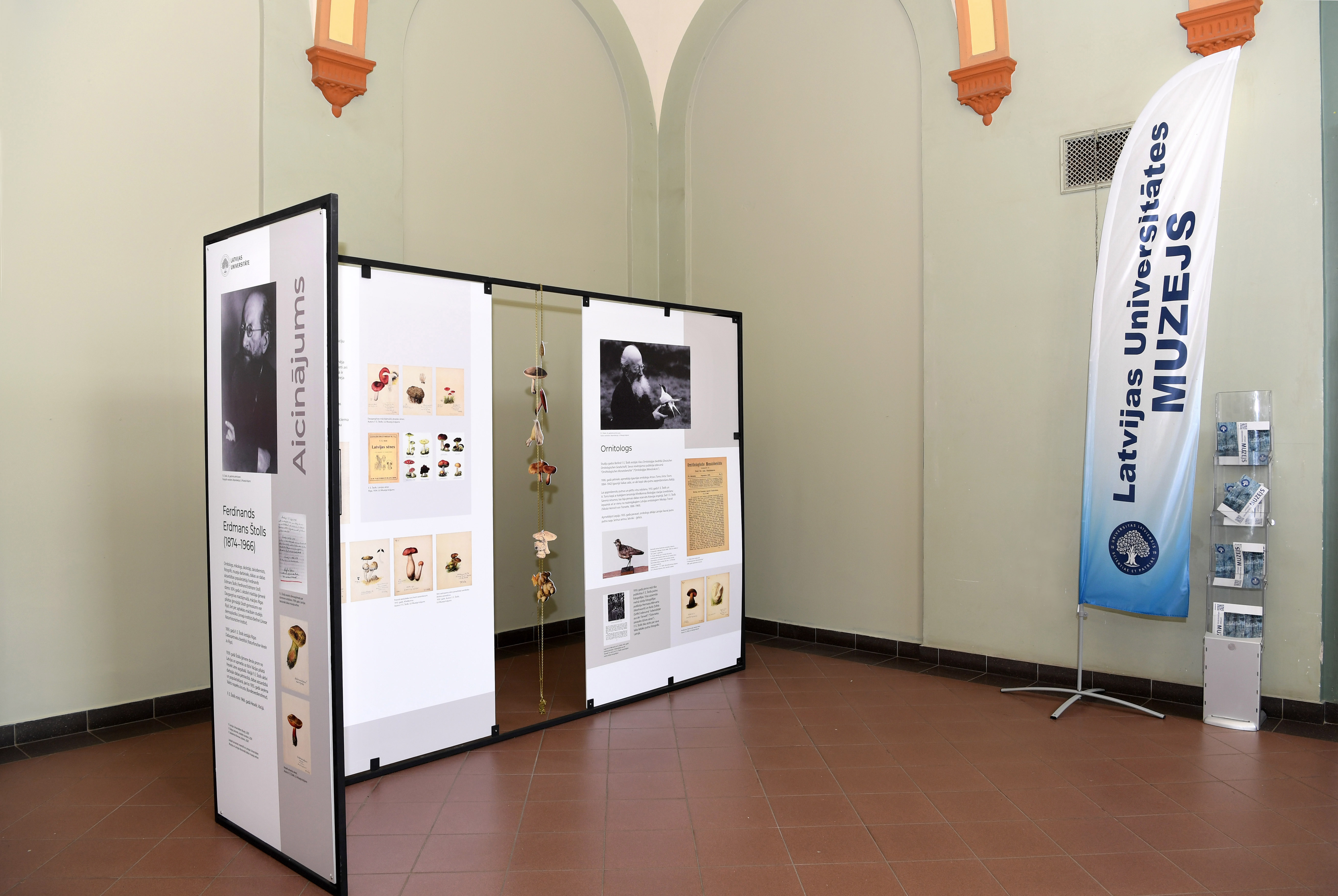 Foto: Sarmīte Livdāne