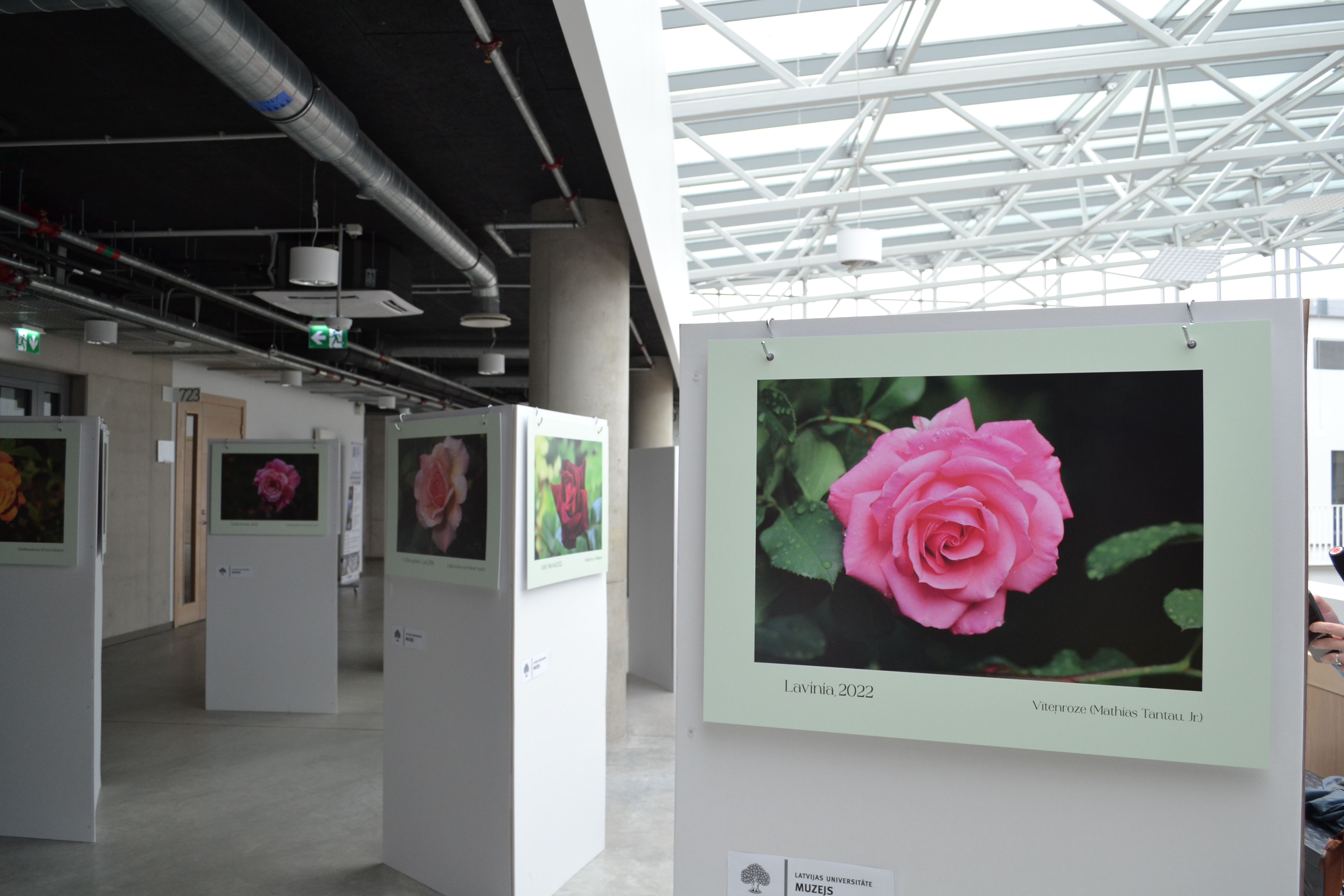 Izstādes kopskats. Foto: Mariia Koltsova